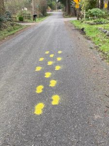 footprints-path-bainbridge-island